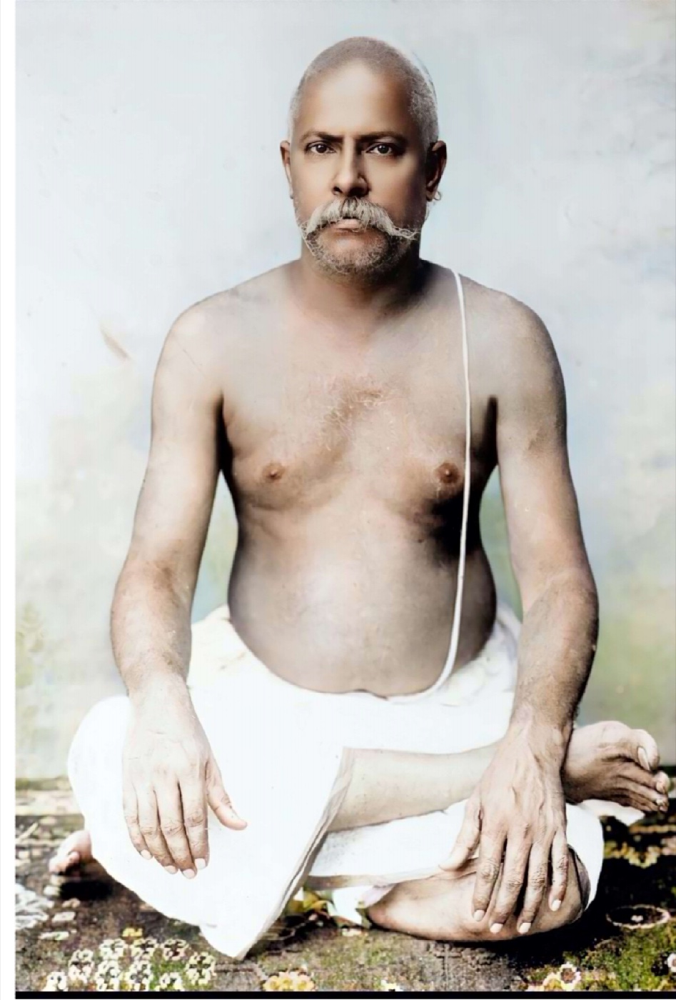 Master C.V.V